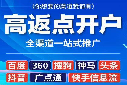 百度竞价广告投放全解析：成功案例揭秘